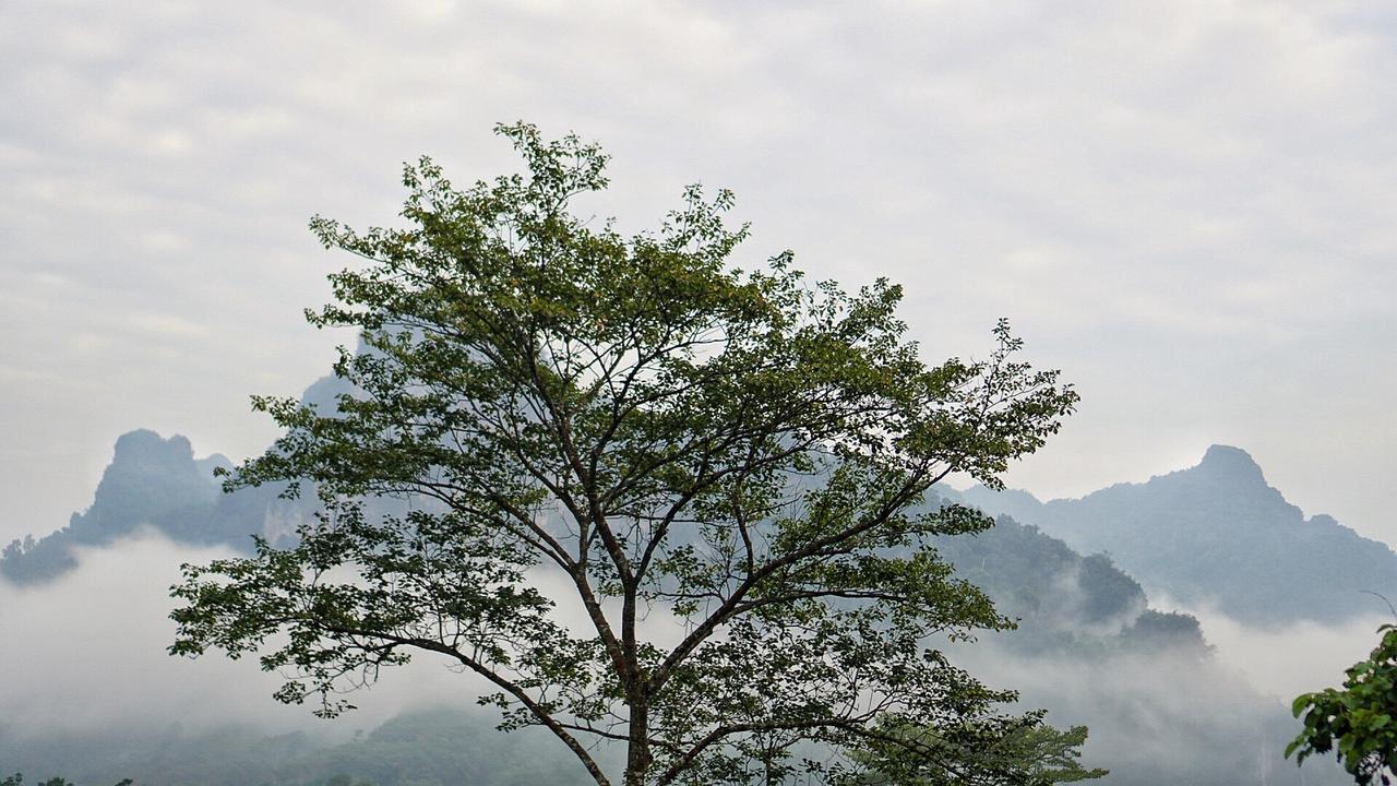 Khaowong Resort パンガー エクステリア 写真